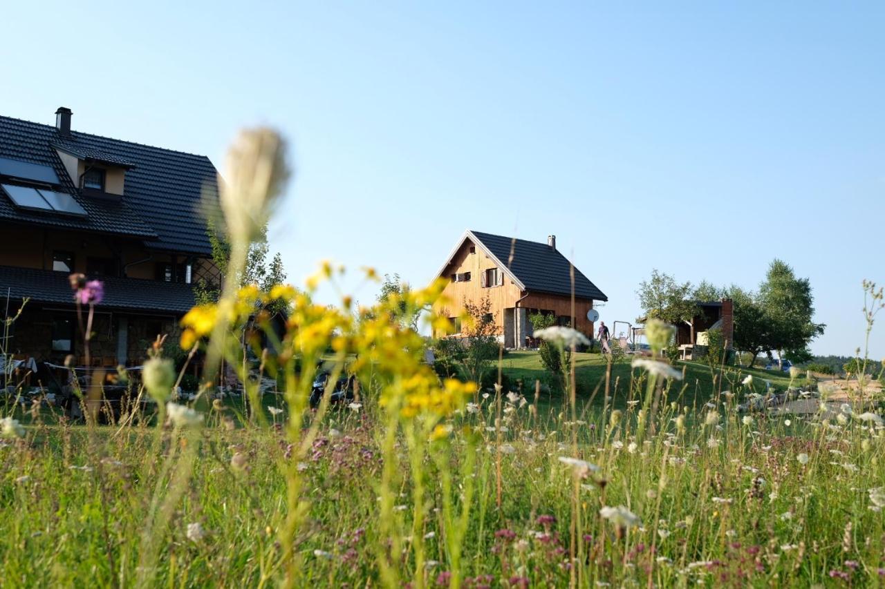 House Izvor Hotel Йезерце Екстериор снимка